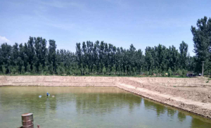 魚(yú)蝦經(jīng)驗(yàn)小貼士